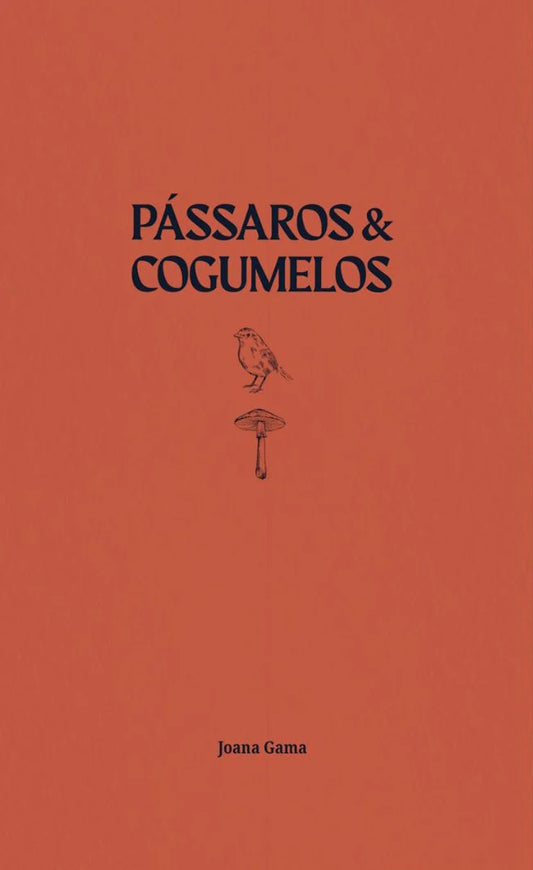 Pássaros & Cogumelos