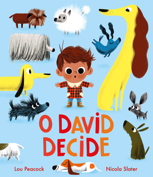 O David decide